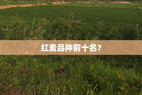 红麦品种前十名？