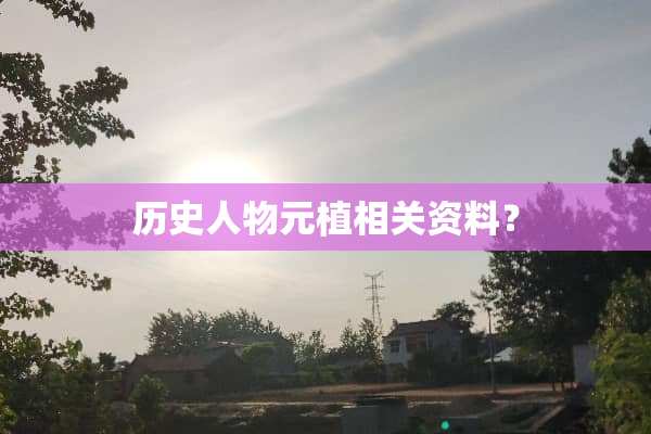 历史人物元植相关资料？