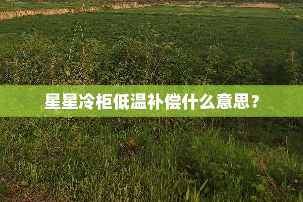 星星冷柜低温补偿什么意思？
