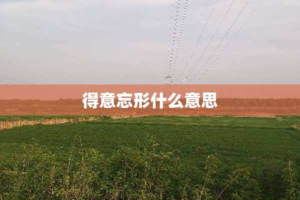得意忘形什么意思