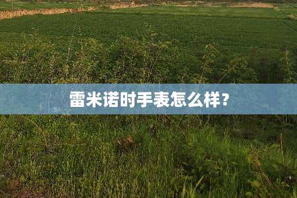 雷米诺时手表怎么样？