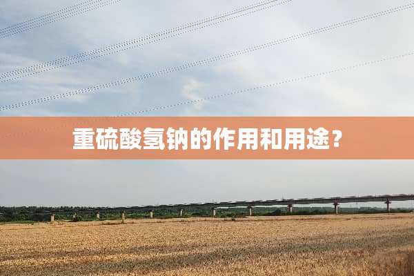 重硫酸氢钠的作用和用途？