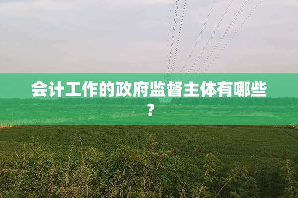 会计工作的**监督主体有哪些？