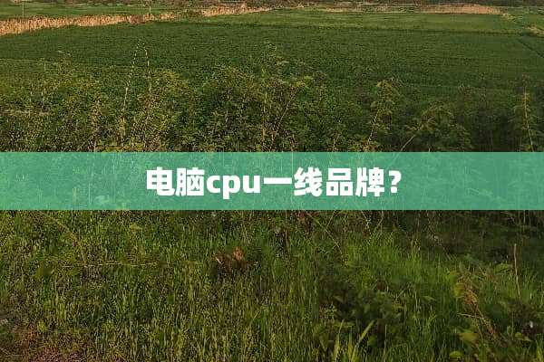 电脑cpu一线品牌？