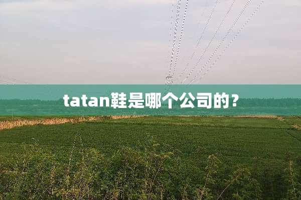 tatan鞋是哪个公司的？