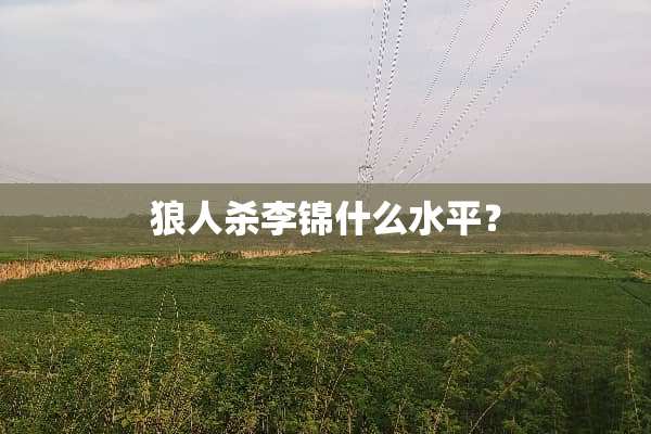 狼人杀李锦什么水平？