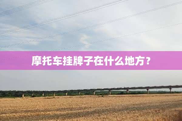 摩托车挂牌子在什么地方？