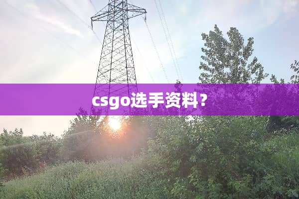 csgo选手资料？