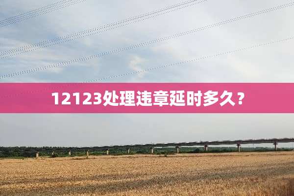 12123处理违章延时多久？