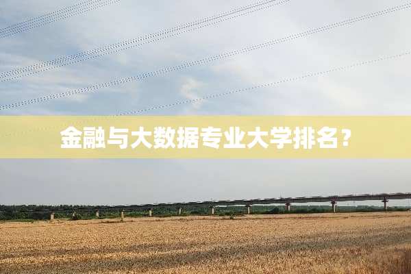 金融与大数据专业大学排名？