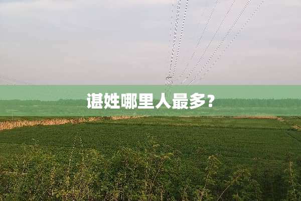 谌姓哪里人最多？