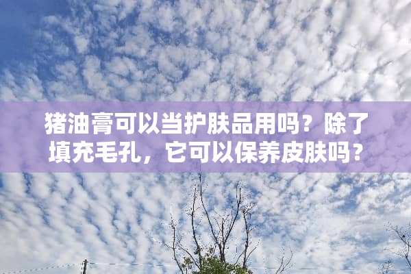 猪油膏可以当护肤品用吗？除了填充毛孔，它可以保养皮肤吗？