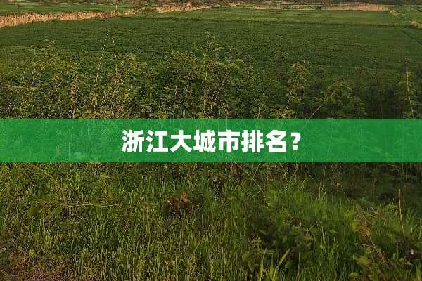 浙江大城市排名？