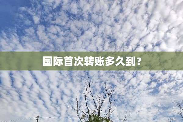 国际首次转账多久到？