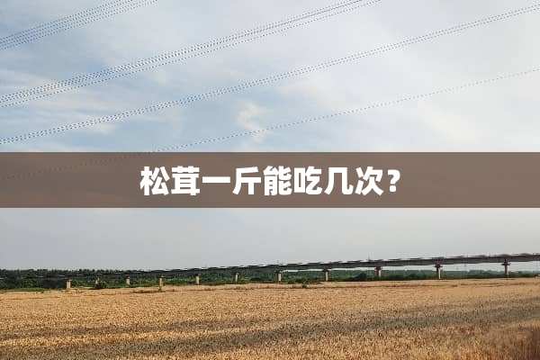 松茸一斤能吃几次？