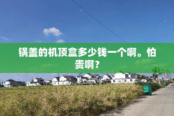 锅盖的机顶盒多少钱一个啊。怕贵啊？