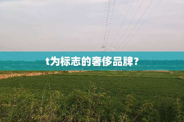 t为标志的奢侈品牌？