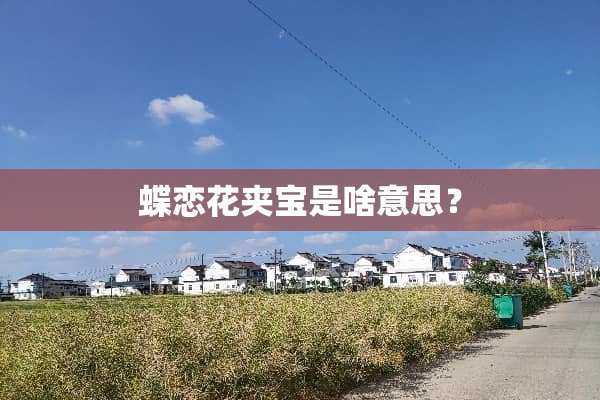 蝶恋花夹宝是啥意思？