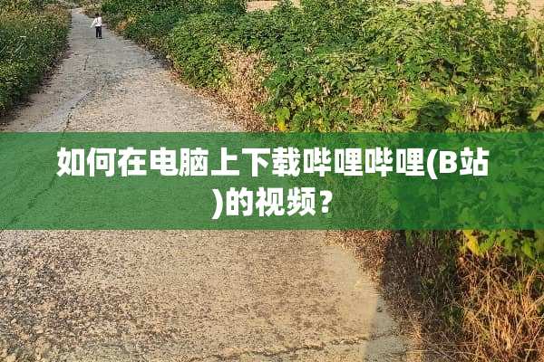 如何在电脑上下载哔哩哔哩(B站)的视频？