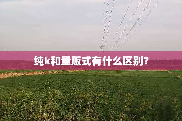 纯k和量贩式有什么区别？