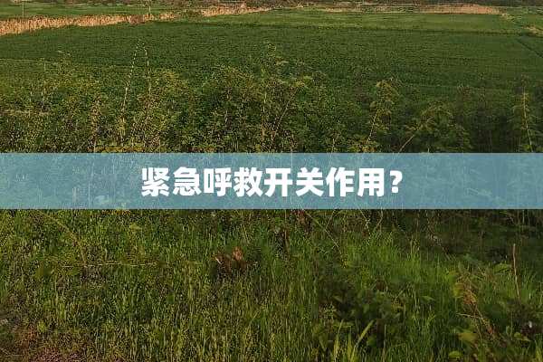 紧急呼救开关作用？