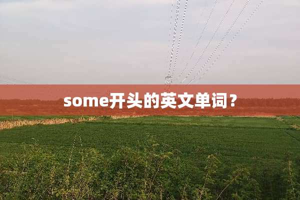 some开头的英文单词？