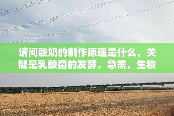 请问酸奶的制作原理是什么，关键是*酸菌的发酵，急需，生物课程需要？