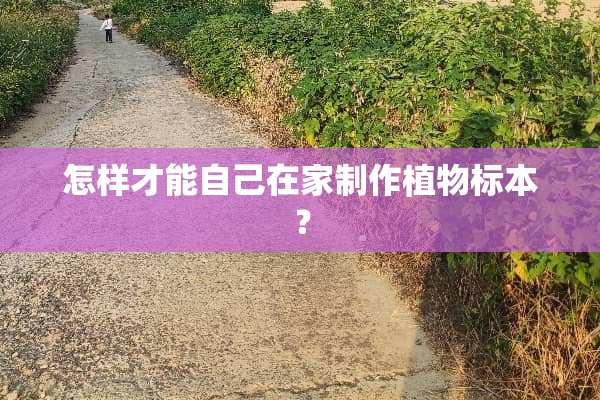 怎样才能自己在家制作植物标本？