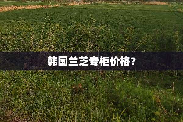 韩国兰芝专柜价格？
