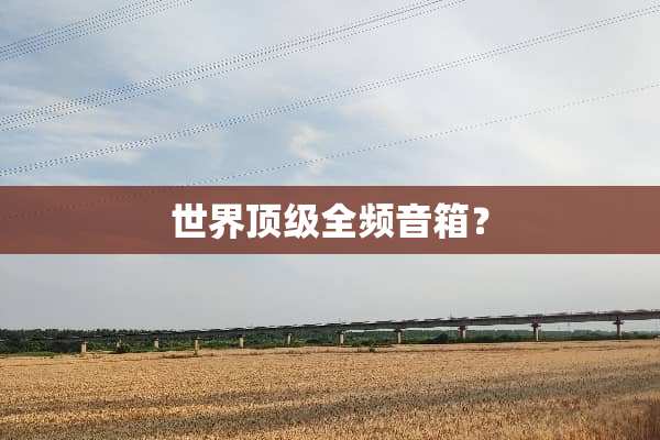 世界**全频音箱？