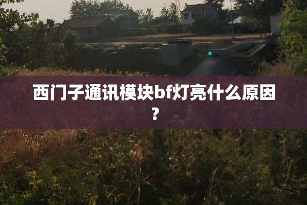 西门子通讯模块bf灯亮什么原因？
