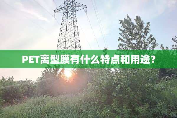 PET离型膜有什么特点和用途？