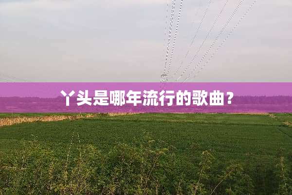 丫头是哪年流行的歌曲？