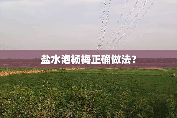 盐水泡杨梅正确做法？