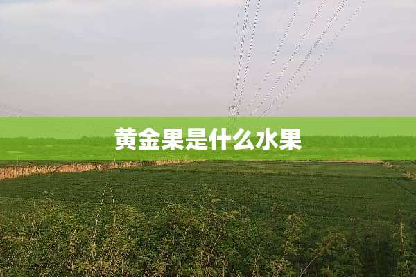黄金果是什么水果