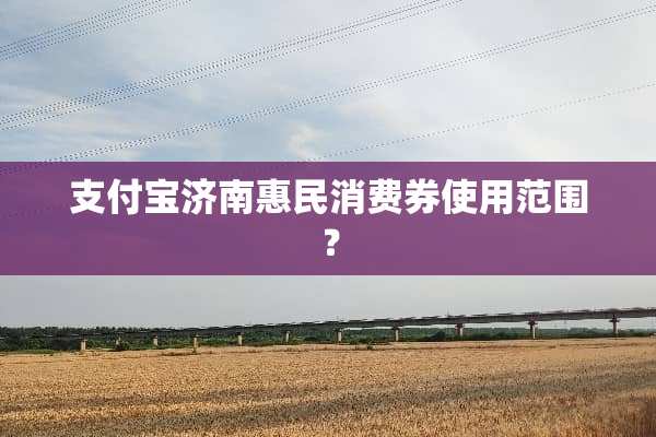 支付宝济南惠民消费券使用范围？
