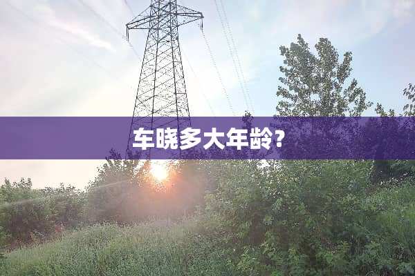 车晓多大年龄？
