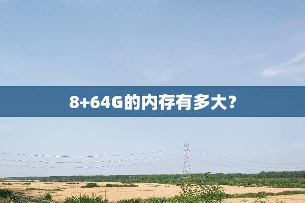 8+64G的内存有多大？