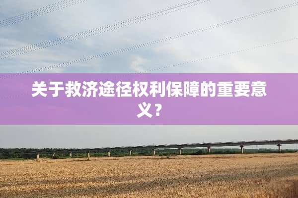 关于救济途径权利保障的重要意义？