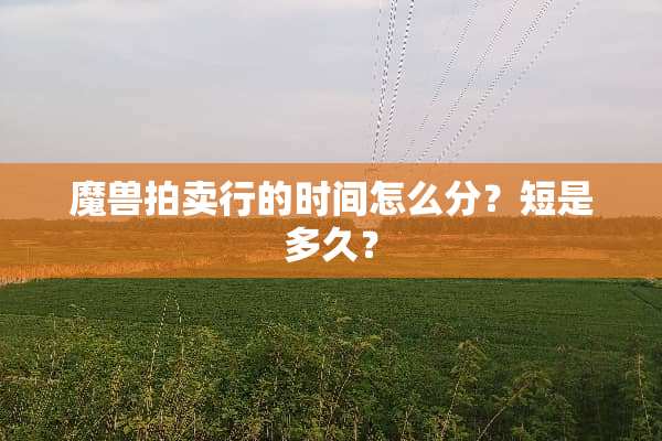 魔兽拍卖行的时间怎么分？短是多久？
