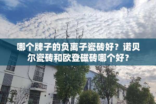 哪个牌子的负离子瓷砖好？诺贝尔瓷砖和欧登磁砖哪个好？