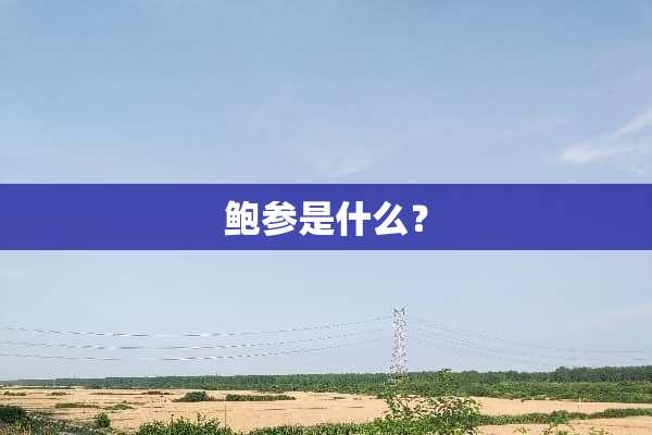 鲍参是什么？