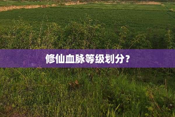 修仙血脉等级划分？