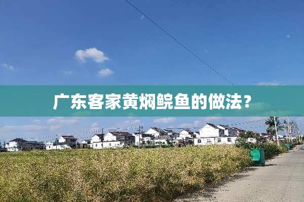 广东客家黄焖鲩鱼的做法？