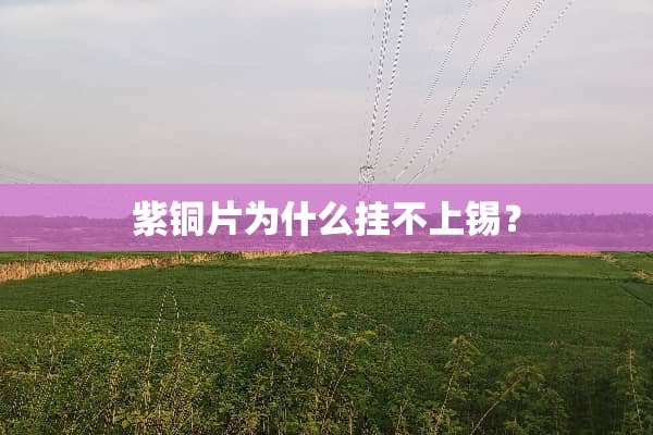 紫铜片为什么挂不上锡？