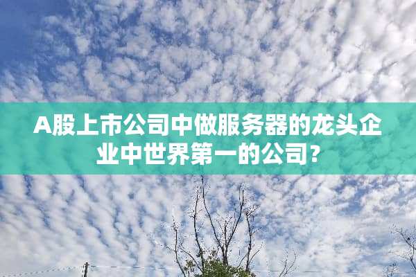 A股上市公司中做服务器的龙头企业中世界第一的公司？