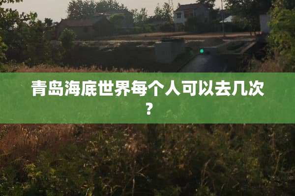 青岛海底世界每个人可以去几次？