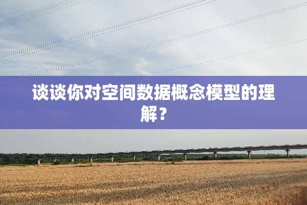 谈谈你对空间数据概念模型的理解？