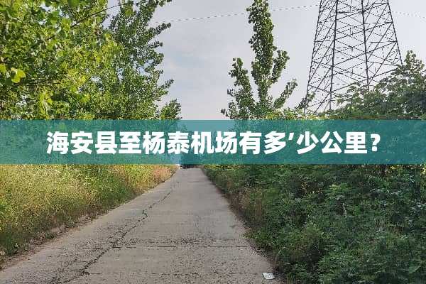 海安县至杨泰机场有多’少公里？