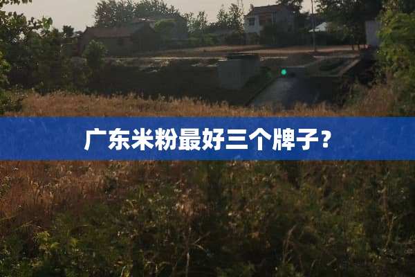 广东米粉最好三个牌子？